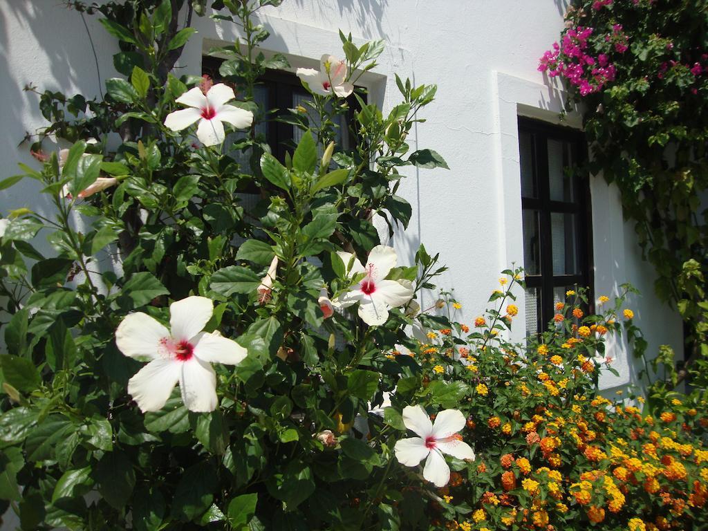 Mimosa Apart Hotel Gümbet Exterior foto