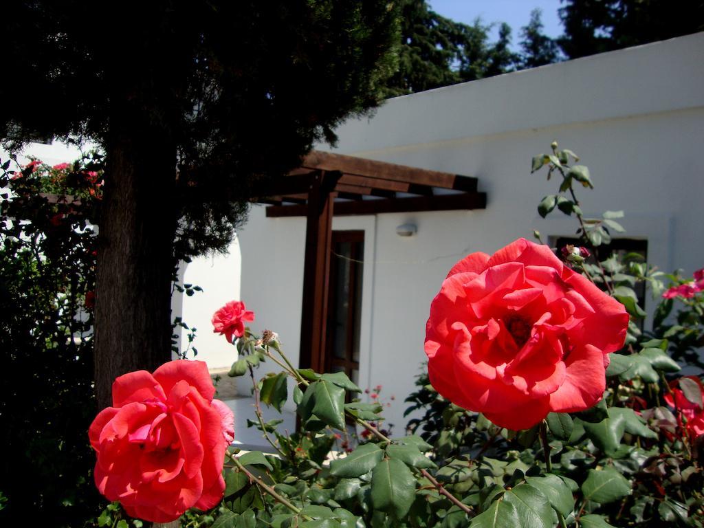 Mimosa Apart Hotel Gümbet Exterior foto